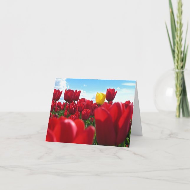 Cartão Tulipas (Frente)