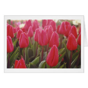 Cartão Tulipas