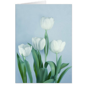 Cartão Tulipas