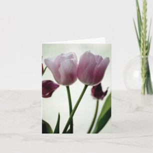 Cartão Tulipas 3259
