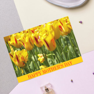 Cartão Tulipas Amarelas Estripadas Dia de as mães Floral