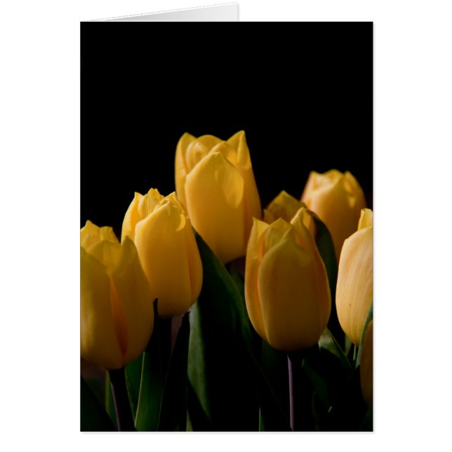 Cartão Tulipas amarelas legantes (Frente)