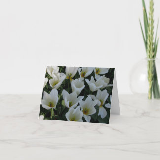 Cartão Tulipas brancas