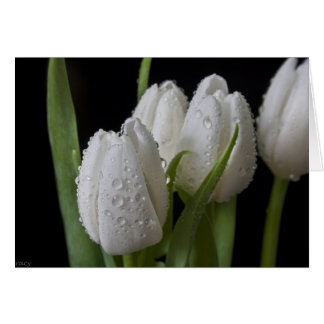 Cartão Tulipas brancas