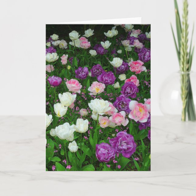 Cartão Tulipas Coloridas (Frente)