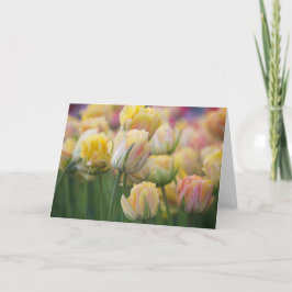 Cartão Tulipas cor-de-rosa e amarelas