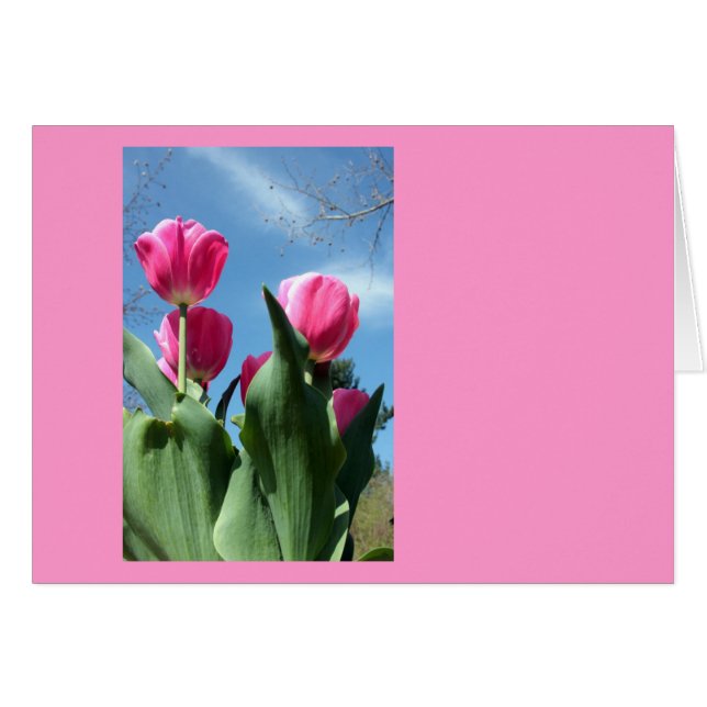 Cartão Tulipas de torre (Frente Horizontal)