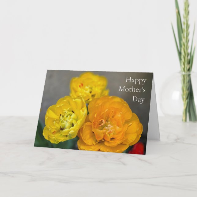 Cartão Tulipas do Dia das Mães (Frente)