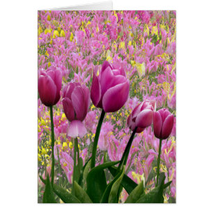 Cartão Tulipas em um jardim