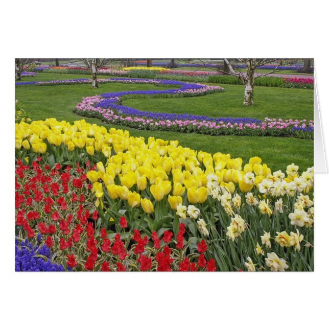 Cartão Tulipas, Jacintos de Uva e Narcisos, (Frente Horizontal)