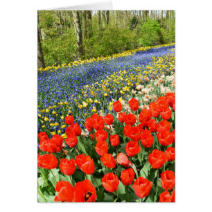 Cartão Tulipas na floresta