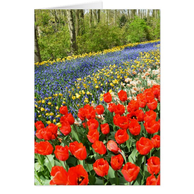 Cartão Tulipas na floresta (Frente)