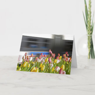 Cartão Tulipas na sagacidade da cidade