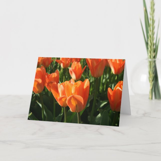 Cartão Tulipas NoteCard (Frente)