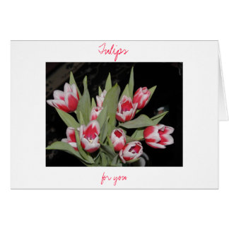 Cartão Tulipas Para Você