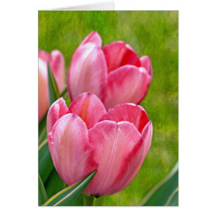 Cartão Tulipas Rosa