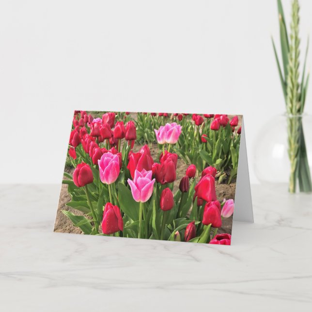 Cartão Tulipas Rosa e Vermelha (Frente)