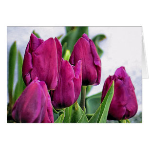 Cartão Tulipas Rosa Profundas