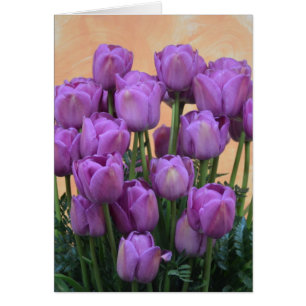Cartão Tulipas roxas bonitas do primavera