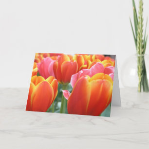 Cartão Tulips