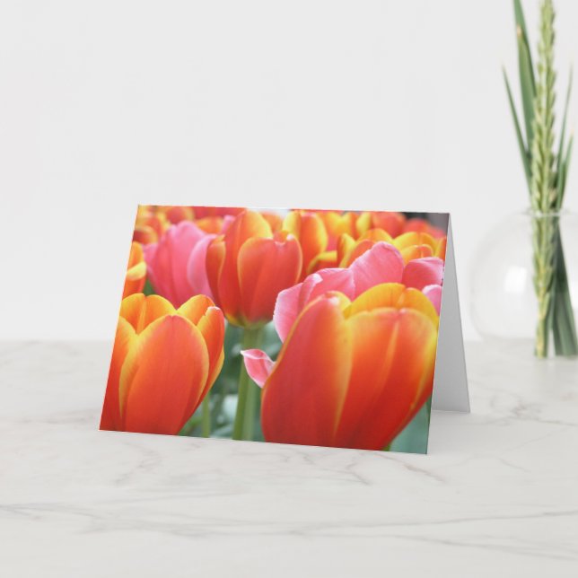 Cartão Tulips (Frente)