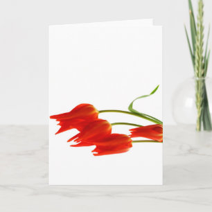Cartão Tulips blank greetings card