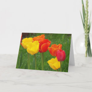 Cartão Tulips Brights