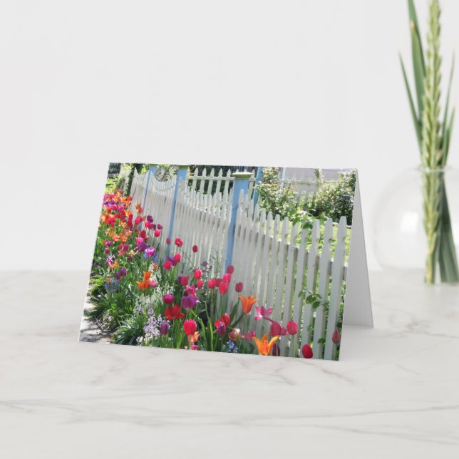 Cartão Tulips Garden Junong White Picket Fence Photo (Frente)