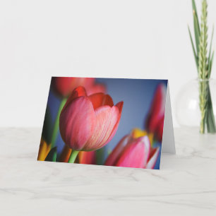 Cartão Tulips • Greeting Card