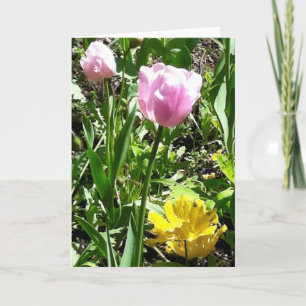 Cartão Tulips greeting card
