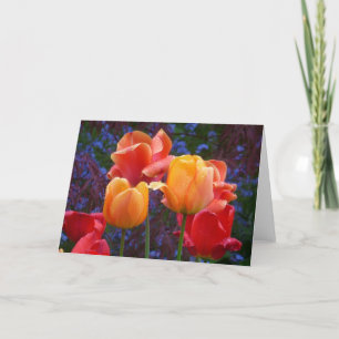 Cartão Tulips in the Rain Card