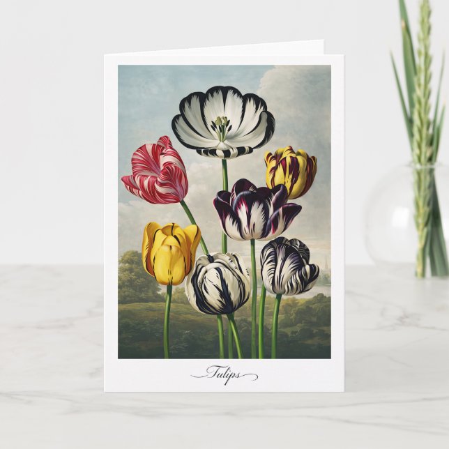 Cartão Tulips — Modern Botanical Reinterpretation (Frente)