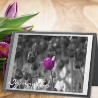 Tulpa Roxa Com Condolências Corações Simpatia