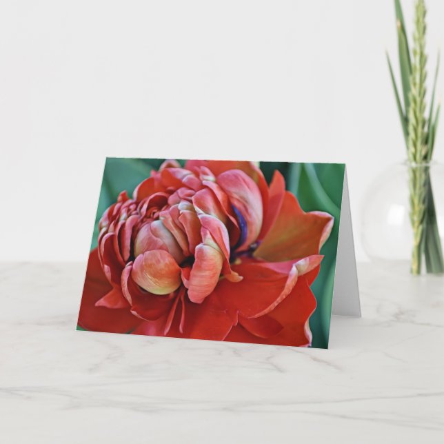 Cartão Tulpa vermelha bonito e placa de script (Frente)