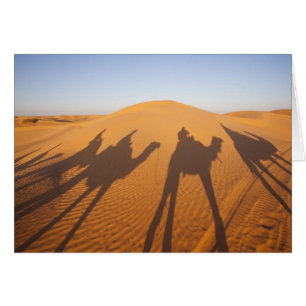 Cartão Tunísia, Zona de Ksour, Ksar Ghilane, Grand Erg 5