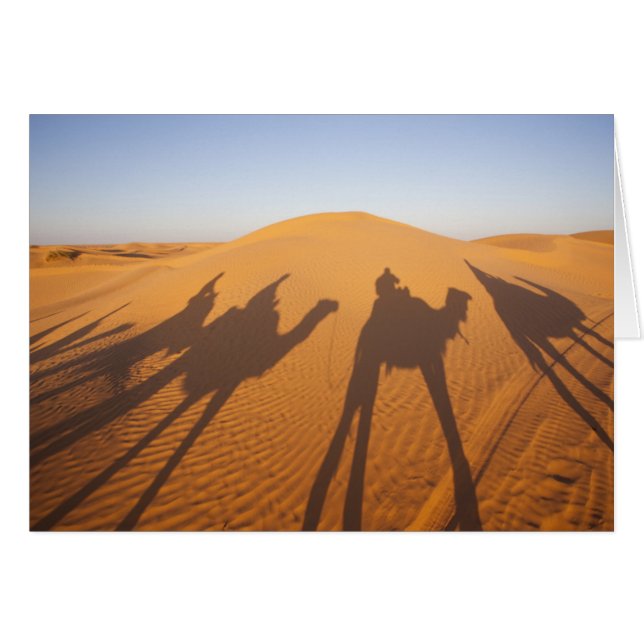 Cartão Tunísia, Zona de Ksour, Ksar Ghilane, Grande Erg 5 (Frente Horizontal)