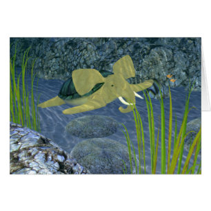 Cartão Turfa Nadadora