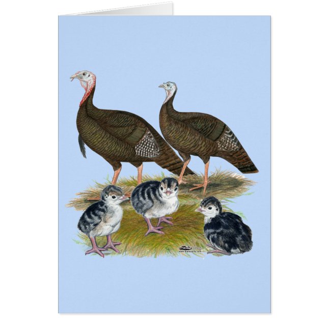 Cartão Turkeys East Wild Family (Frente)