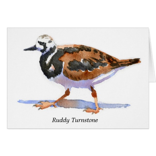 Cartão Turnstone corado (Frente horizontal)