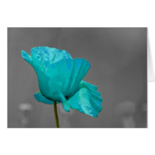Cartão Turquesa Flor de ameixa