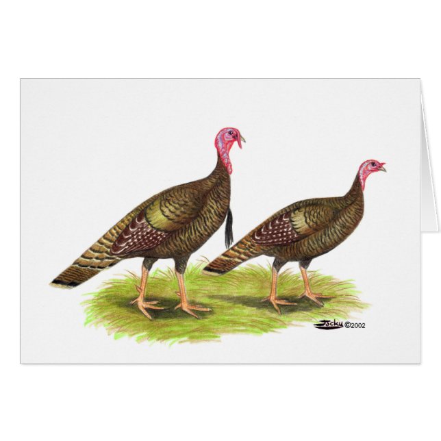 Cartão Turquia: Bronze Selvagem (Frente Horizontal)