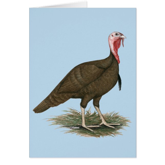 Cartão Turquia Chocolate Tom (Frente)