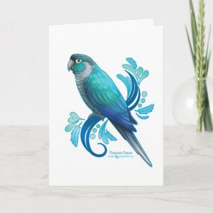 Cartão Turquoise Conure