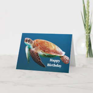 Cartão Turtle Blue Water Sea Photo Birthday