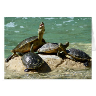 Cartão Turtle Family