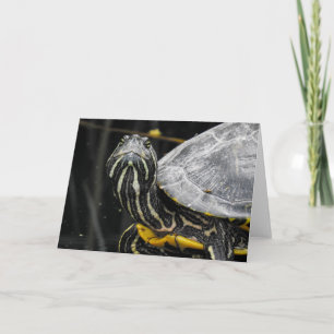 Cartão Turtle Notecard