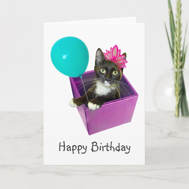 Cartão Tuxedo Cat Birthday (Frente)