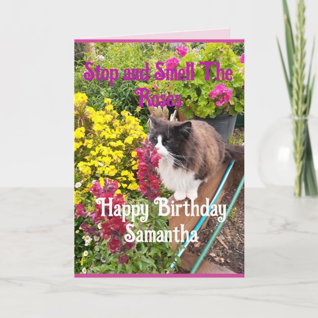 Cartão Tuxedo Cat Sniffing Flowers Funny Birthday Roses (Frente)