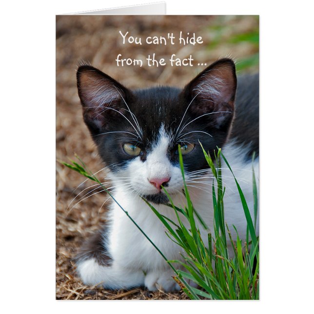 Cartão Tuxedo gatinho escondido atrás da grama (Frente)
