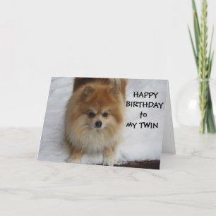 CARTÃO "TWIN" FELIZ ANIVERSÁRIO DIZ O POMERANO